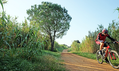 Cassà de la Selva